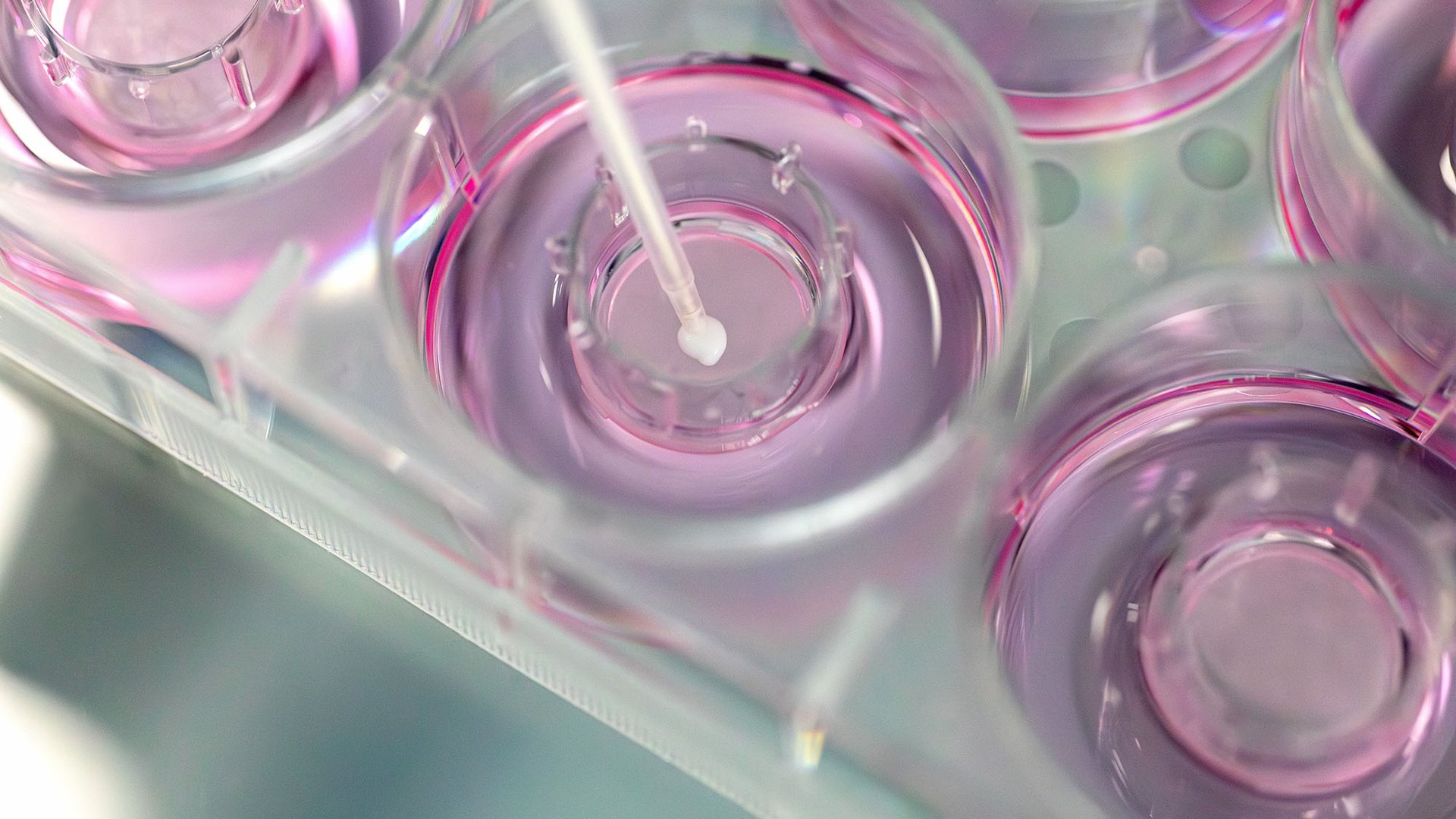 Visuel Episkin Top Banner