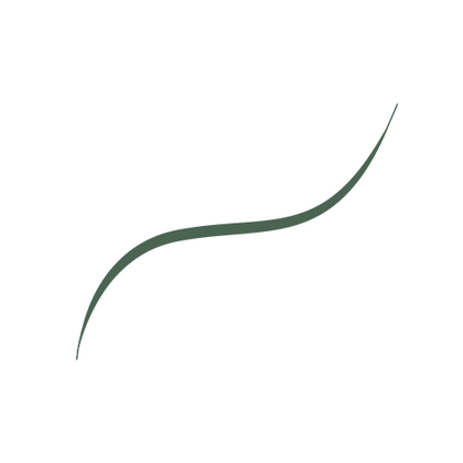 OAP ECOM MAKEUP EYE INFAILLIBLE MICRO FINE EYE LINER TEXTURE GREEN