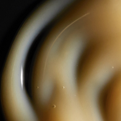 3600524012663 Picture 3
